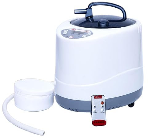 Sauna Steamer Pot, 4L Portable Sauna Generator for Home SPA, Body Therapy Steamer with Timer Display, Fumigation Steam Machine