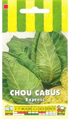 Sachet de graines de Chou cabus Express (pointu) - 3 g - légume feuille - LES GRAINES BOCQUET