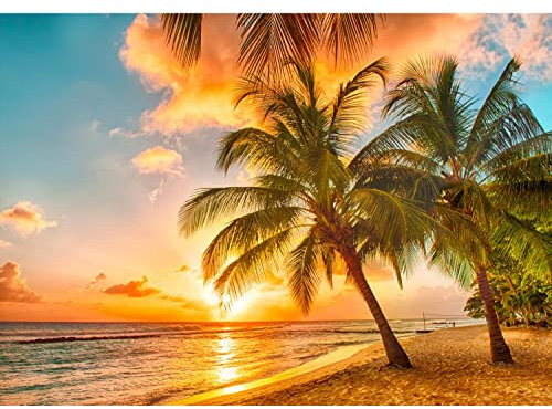 Runa Art Fototapete Strand und Meer 352 x 250 cm Vlies Tapeten XXL Moderne Wandtapete Wohnzimmer Schlafzimmer Bunt 9243011a
