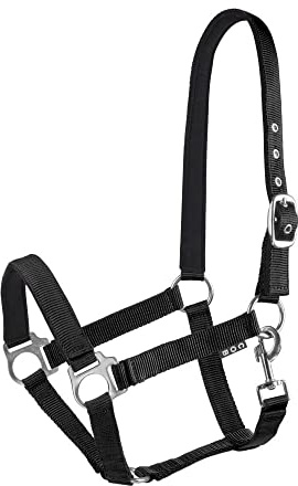 Start Halfter Pferd – Stallhalfter & Weidehalfter für Pony, Vollblut, Warmblut – verstellbar & neoprengefüttert – Lined Halfter für Pferde mit Komfort & Passgenauigkeit (Schwarz, Pony)