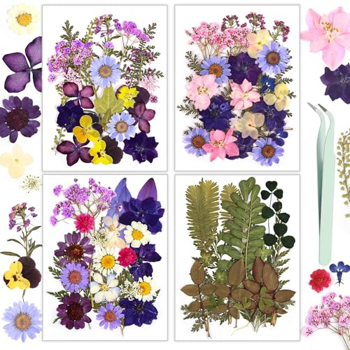 Echte Natürliche Getrocknete Blumen, Resiners 100 Stück Gepresste Blumen | Für Harz Seife Kerzen Scrapbooking & Karten Getrocknete Blumen & Blätter Set für DIY Papier Basteln & Schmuckdekoration