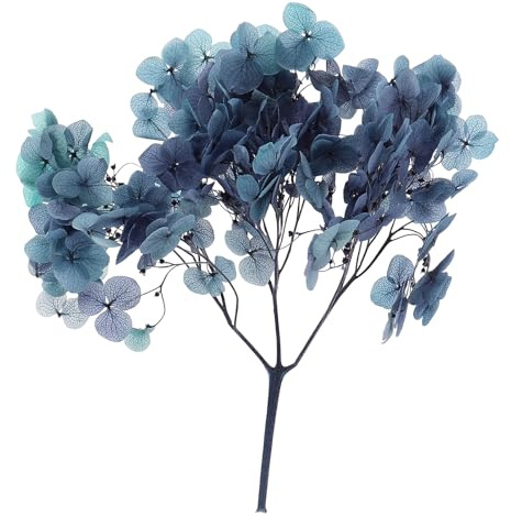 PATIKIL Fiore Di Ortensia Essiccato 10g Petali Di Ortensie Viola Sfumato | Per DIY Artigianato Resina Carte Regalo Floreali Decorazione Candele, Fiori Pressati Naturali, Reali