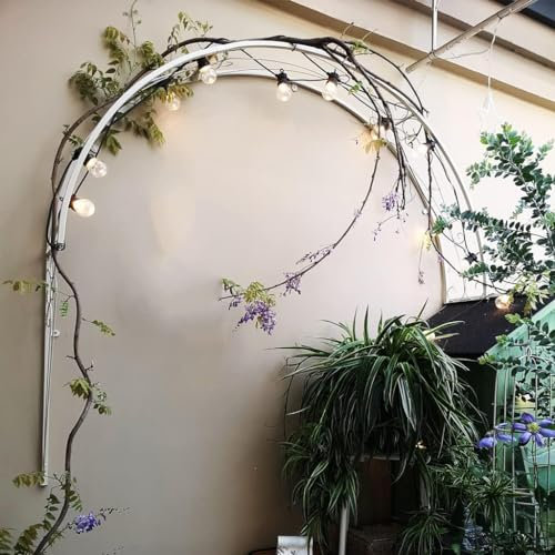 Arche de jardin en métal à fixation murale pour plantes grimpantes, support décoratif pour lierre, roses, vignes et concombres 150 cm