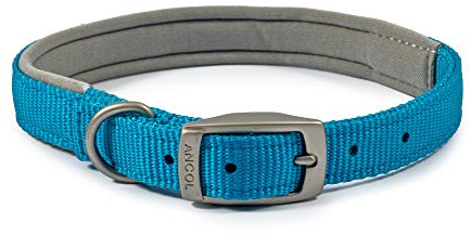 Ancol Viva Collier rembourré pour Chien avec Boucle Bleu Accessoire de Promenade Durable pour Chien Chiot Taille 4 pour Tour de Cou de 35 à 43 cm