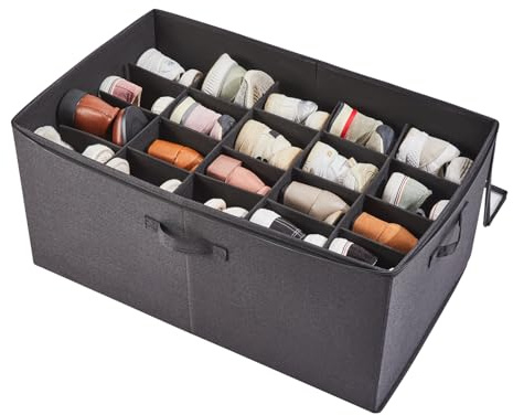 Berdeng Shoe Storage Organizer for Closet, Shoe Box Organizer, Space Saving Foldable Shoe Rack, Shoe Storage Cabinet with Clear Cover and Reinforced Handles, Fits 20 Pairs, Black