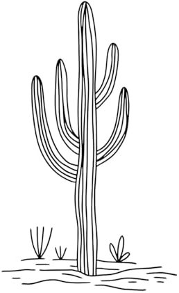Cactus Wall Decal Desert Wall Vinyl Sticker Cactus Desert Wall Sticker Floral Leaves Decal for Home Room Decor Wallpaper-XL-77x125cm