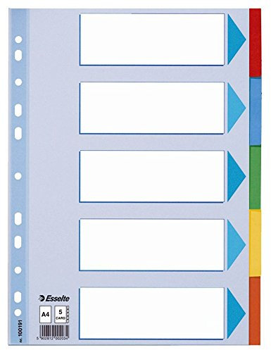 Leitz Kartonregister Standard Blanko, A4, Karton, 5 Blatt weiss (10 Register)