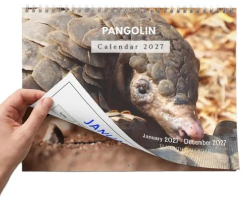 Rolig djurkalender ca. 28 x 20 cm, pangolin, 12 månader, , | Väggkalender 12 månader för kök, sovrum, sovsal, kontor och för konstsamlare