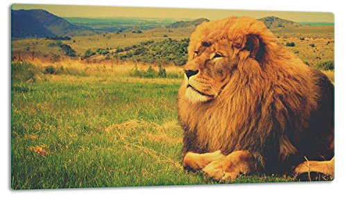 TMK ArtDeko – Schneidebrett Glas – Glasschneidebrett für die Küche 52x30 cm – Robust, Hygienisch & Rutschfest – Glas Schneidebrett – Zusätzliche Arbeitsfläche – Vielseitige Nutzung