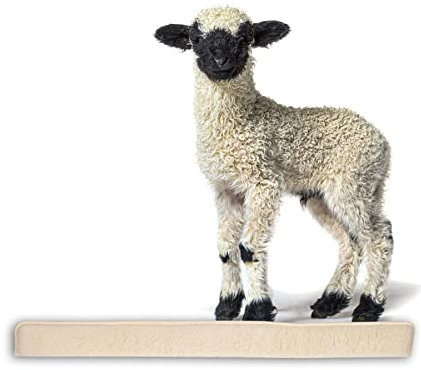 BigDean Zugluftstopper für Fenster 100cm - 100% Schurwolle - Beige - Luftzugstopper Durchzugstopper Windstopper - Made in Germany