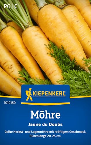 Kiepenkerl Möhrensamen Jaune du Doubs 1010150, Gemüsesaat | Gelbe Herbst- und Lagermöhre mit kräftigem Geschmack, Karotte