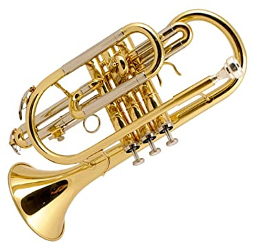 Trompete im Taschenformat B Lack Gold Taschentrompete Fluger Blasmusik Anfängerprüfung Trompete Spielen Taschentrompete