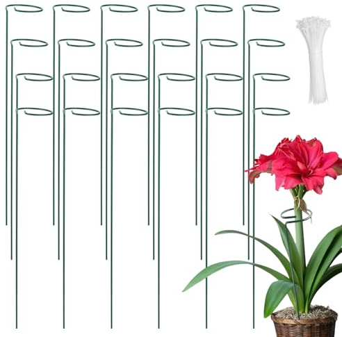 CHUIFAI Lot de 24 Tuteurs pour Plantes avec 100 Attaches, Support de Plantes de Jardin Demi-Rond pour Tomate, Hortensia, Vigne, Plantes Grimpantes Fleur Intérieur Extérieur, 40 x 6,5 cm