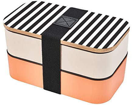 CARRDKDK Boîte à bento double couche pour adulte - Passe au micro-ondes - Rayures noires et blanches - Petit organisateur de nourriture mignon et kawaii avec vaisselle et lave-vaisselle