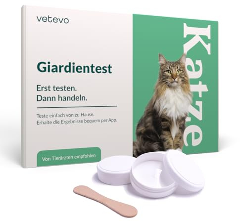 vetevo Giardientest Katze - bei Durchfall, Erbrechen & Gewichtsverlust | ELISA-Verfahren, präziser als ein Schnelltest, Ergebnis in 12 Stunden, Laborversand inklusive