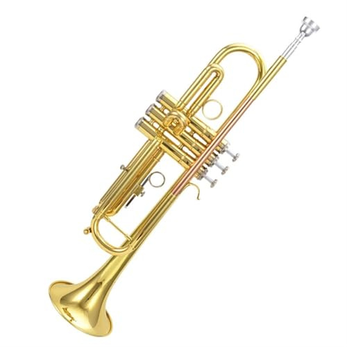 B-Trompete Instrument Aus Messing Phosphorbronze Blasinstrument Professionelle Trompete Aus Edelstahl Satter Ton