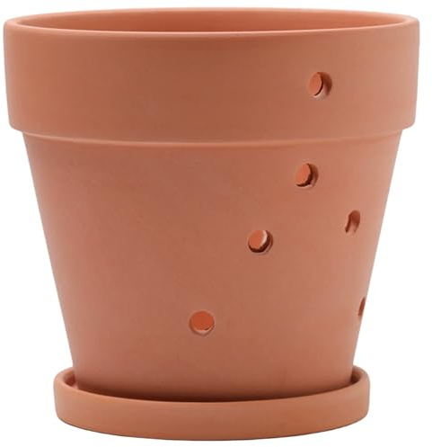 Bemonew Pots à orchidées avec Trous, Pots en Terre Cuite avec Soucoupe, Pot de rempotage pour orchidées pour Usage intérieur et extérieur, 6 × 5 Pouces