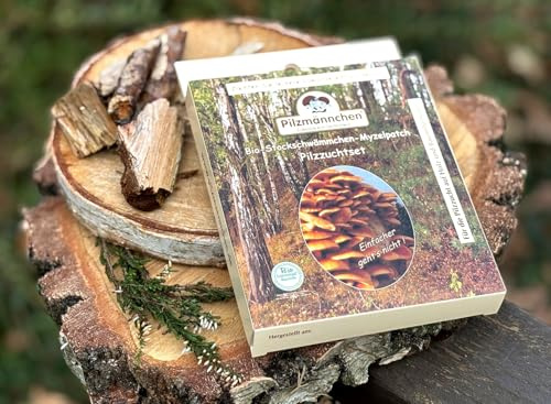 Bio Stockschwämmchen Myzelpatch - Pilze selber züchten