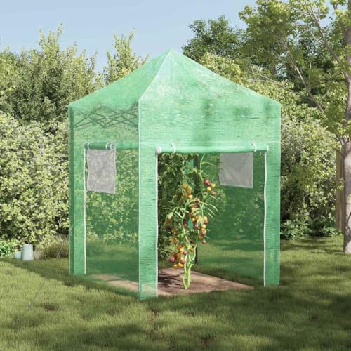 Augerlite Invernadero plegable con marco desplegable de hierro verde 200 x 200 x 300 cm para jardín, cobertizo de plantas, casa de tomate, túnel de aluminio, protección de plantas en clima, heladas