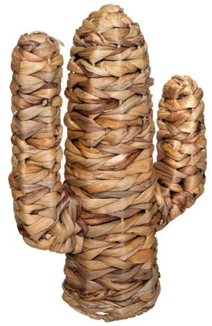 Atmosphera - Kaktus Haci 26x35 cm - Beige