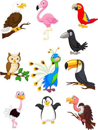 adrium Acryl-Bild 80 x 110 cm: Vogel-Cartoon-Sammlung (27166453)