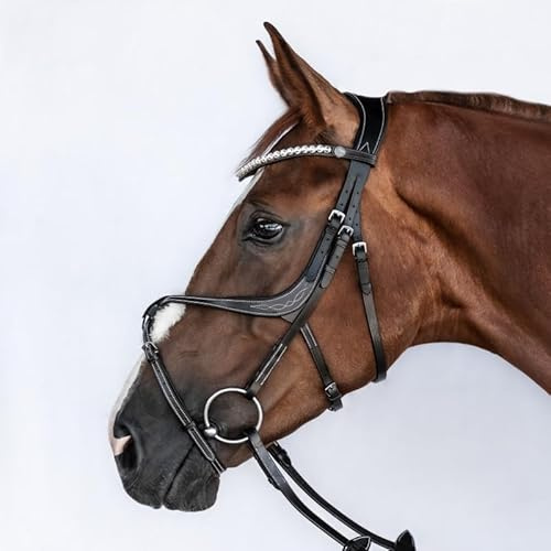 BRIDLERY Trense Passion Beschläge Silber, Farbe Braun, Größe Warmblut
