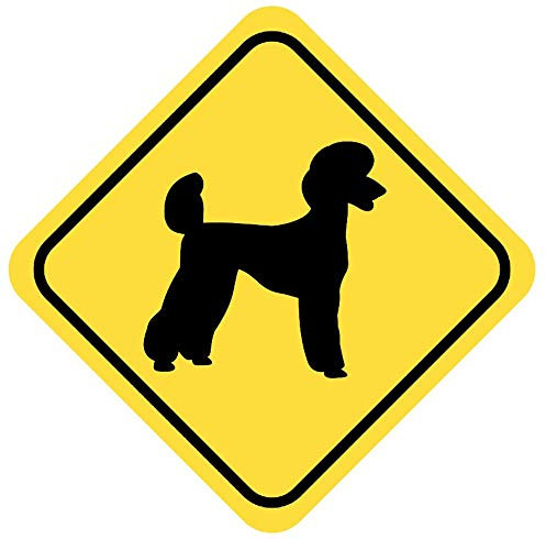 Samunshi® Pudel Warnschild Warndreieck Aufkleber Achtung Vorsicht Hund - 20x20cm mehrfarbig