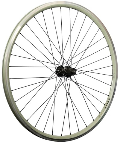 28 Zoll Fahrrad Hinterrad Hohlkammer DT Swiss Shimano Deore FH-T610 Disc CL grün