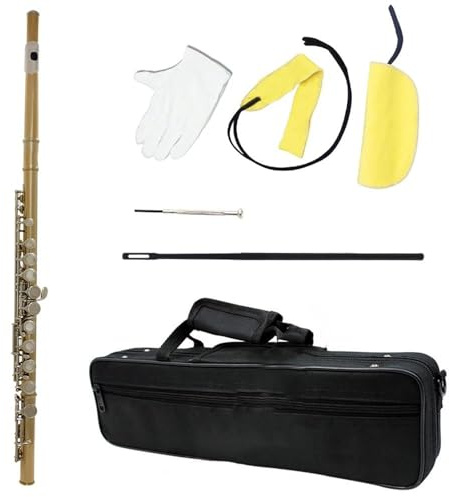 Querflöte 16 Geschlossene Offene Loch-C-Tastenflöte Professionelle Gold-Silber-Konzertflöte Mit Box-Tuch-Stick-Handschuhen