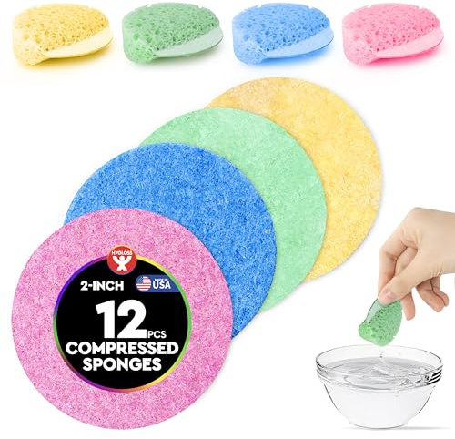 Hygloss Compressed Sponges for Crafts - 12 Pack 2” Circles-Shaped Sponges - Expanding Paint Sponge Shapes for Kids - Art Sponges for Painting, DIY Crafts, Sensory Water Play & More - Assorted Colors