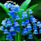 Bulbos de lirio de los valles，Planta perenne de lirio de los valles，Planta una vez y florece año tras año.Fácil mantenimiento，Decoración de jardines-3 Bulbos-E
