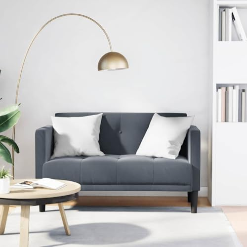 Ordellia Two Seater Sofa Dark Grey, 111 cm Velvet Upholstery, Comfortable Couch for Living Room, Sturdy Plywood Frame, Modern Furniture for Relaxing