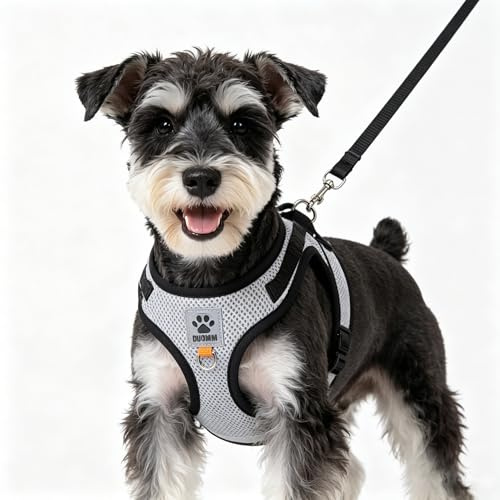 Embhlitfe Step-in Dog Harness Set, Soft Mesh for Small Dogs & Puppy | Reflective, Breathable & Lightweight Vest for Daily Walking, Training & Outdoor Lead Control