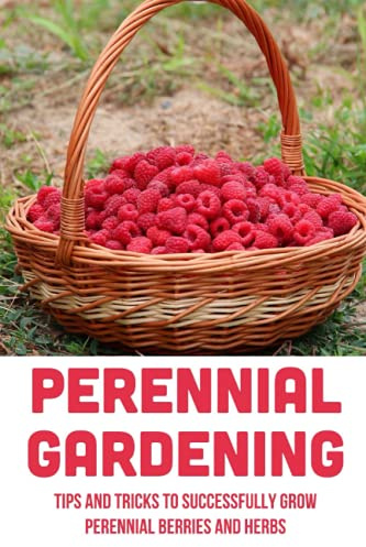 Perennial Gardening: Tips And Tricks To Successfully Grow Perennial Berries And Herbs: Steps To Grow Perennial Herbs And Berries