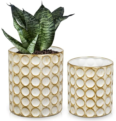 Hollyone Juego de 2 macetas de hierro de 13 cm y 15 cm de metal dorado blanco, macetas decorativas para interiores cóncavos, macetas modernas para suculentas, cactus, hierbas, orquídeas