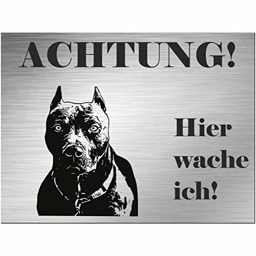 Indigos UG - Schild Pitbull Terrier - bedruckt - Achtung Hier wache ich! - Aluverbundplatte Edelstahl Look - 20x15 cm - Spruch - Deko Geschenkidee für Ihren Hund - Zaun - Türschild - Hinweisschild