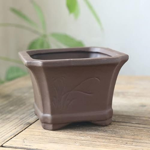 XIAOXIN Schwarze Keramik Earthen Burn Keramik Handwerk Blumentopf Pflaume Orchidee Chrysantheme Sukkulente Topf Atmungsaktive Vase Dekor