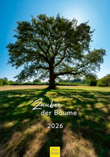Edition Seidel Premium Kalender Zauber der Bäume 2026 Format DIN A3 Wandkalender Wald Natur Bäume Blätter Jahreszeiten Landschaft
