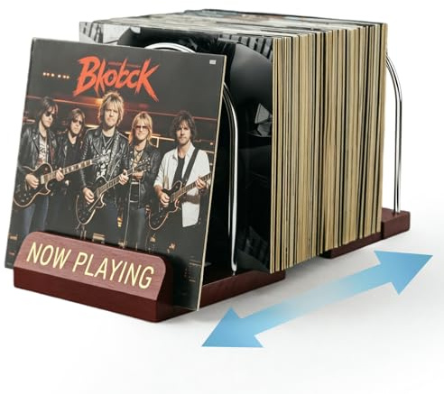 BORDEAG Schallplatten Aufbewahrung, Schallplattenständer 30-70 Lps, 1 Etage Vinyl-Schallplattenständer, Schallplatten Regal Mit Verstellbarer Trennwand Für Alben, Zeitschriften, Regal, Organizer