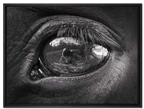 Pixxprint Auge schwarzer Hengst schwarz weiß Leinwandbild 80x60 cm im Bilderahmen, Wandbild, Schattenfugenrahmen, Kein Poster