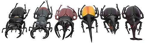 6 Stücke Simulation Käfer Insektenmodell Halloween Trick Requisiten PVC Insektenspielzeug(6 große schwarze Käfer) Kunsthandwerkliches Spielzeug
