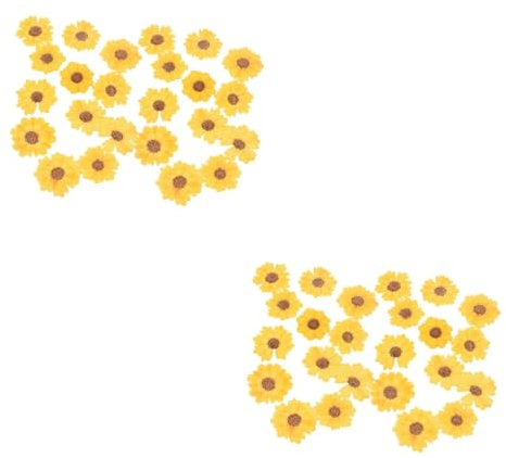 TEHAUX 48stücke Getrocknete Schafgarbe Blumen Gepresste Blumen Für Bastelarbeiten Natürliche Dekoration Für Scrapbooking Schmuckherstellung Und