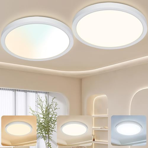 Great Jacob Plafonnier LED 24W，Ø29 cm，3 Températures de Couleur 3000K/4000K/6500K Lampe LED de Plafond Rond pour Salon，Chambre，Cuisine，Salle à Manger，Couloir，Moderne，2 Pièces