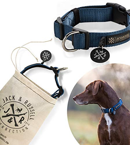 Jack & Russell Hundehalsband Balu Neopren gepolstert - Hunde Halsband div. Größen und Farben (Halsumfang S (28-35 cm), Blau)