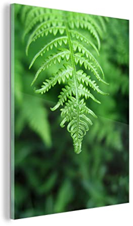 MuchoWow Glasbild Glasfoto Wandbild Bilder Deko 30x40 cm Grüne Blätter eines Farns vor einem verblassten Hintergrund