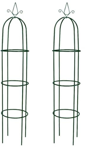 Lot de 2 tours de jardin en fer - Robuste et durable pour les horticultures - Idéal pour les plantes grimpantes - Parfait pour les amateurs de jardin
