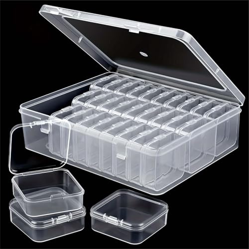 Oridaceae Sortierboxen für Kleinteile, Perlen Aufbewahrungsbox Organizer, 30 Teilige Kunststoff Aufbewahrungsbox mit Deckel, Transparente Leere Box für Perlen Schmuck Ohrringe Pailletten Diamant