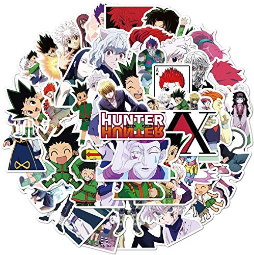 Lanseede 100PCS Hunter X Hunter Stickers Japanese Cartoon Anime Stickers Waterproof Vinyl Stickers for Kids Teens Adults Water Bottle Laptop Suitcase Luggage Skateboard Decoration