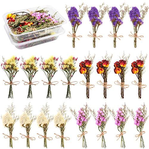 20Pcs Don't Forget Me Flower Bouquets Natural Forget-me-nots Dried Flower Bouquet Myosotis Sylvatica Dry Flower Leaves Lagurus Dried Embossing Flower Bundle Plant Stem Bunch for DIY Craft,Photo Props