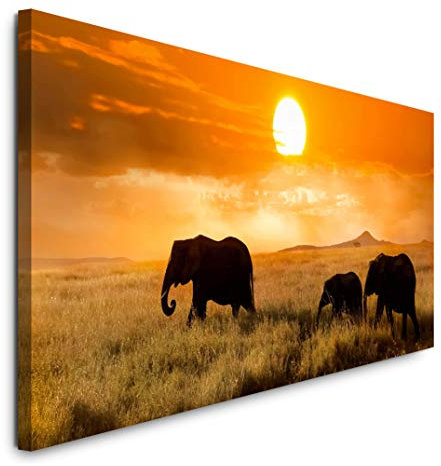 Paul Sinus Art GmbH Familie von Elefanten 120x 50cm Panorama Leinwand Bild XXL Format Wandbilder Wohnzimmer Wohnung Deko Kunstdrucke